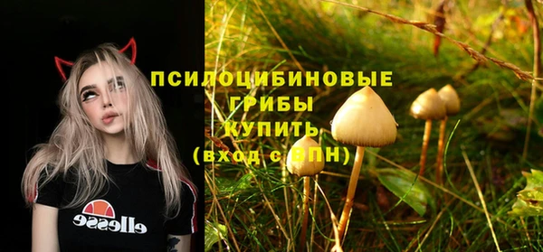 прущая мука Абаза